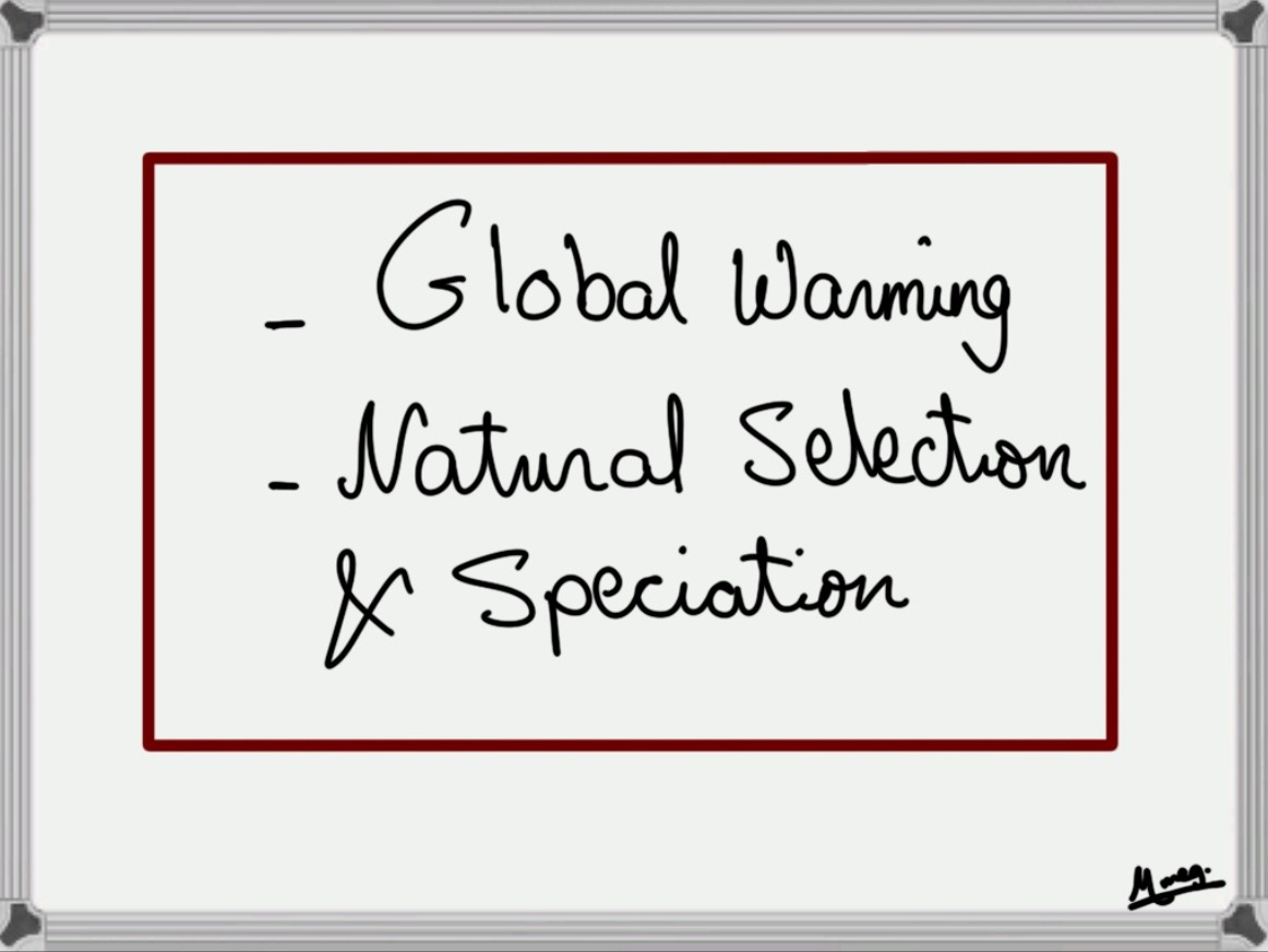 Global Warming, Natural Selection and Speciation