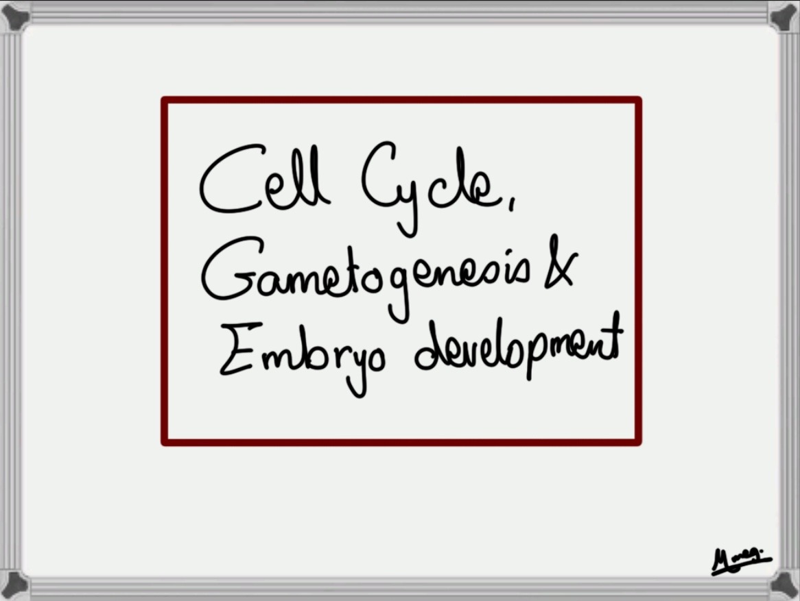 Chapter 2: Cell Cycle, Gametogenesis & Embryo Development