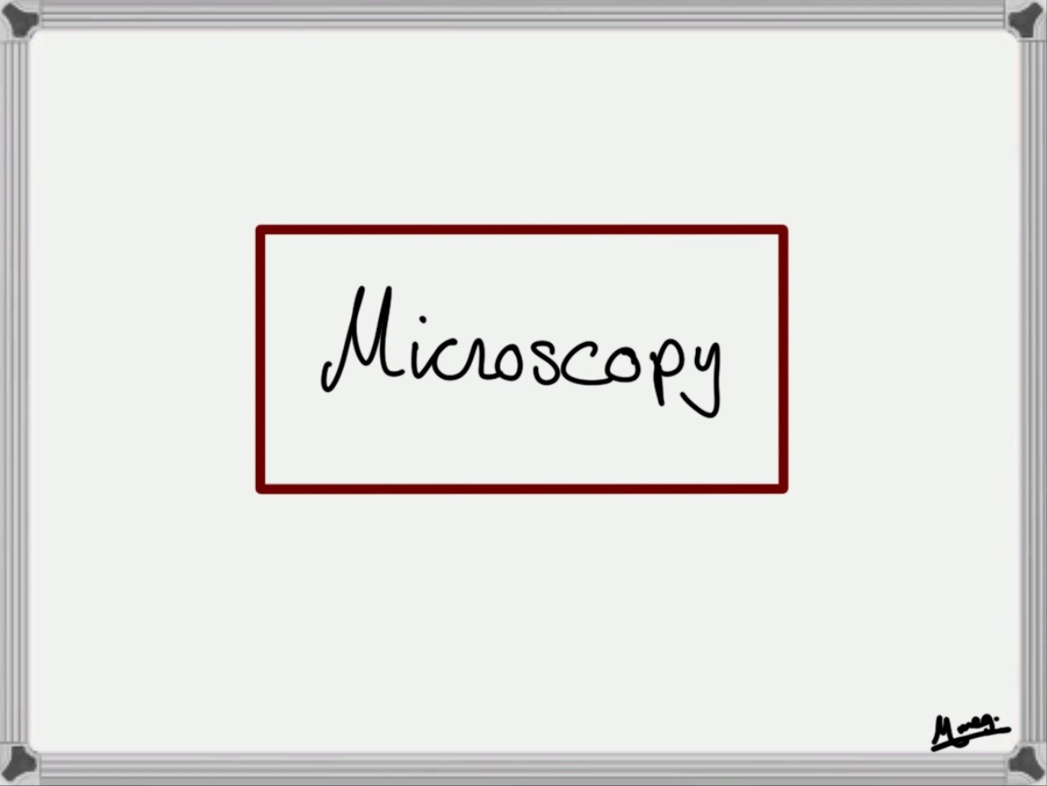 Chapter 5: Microscopy