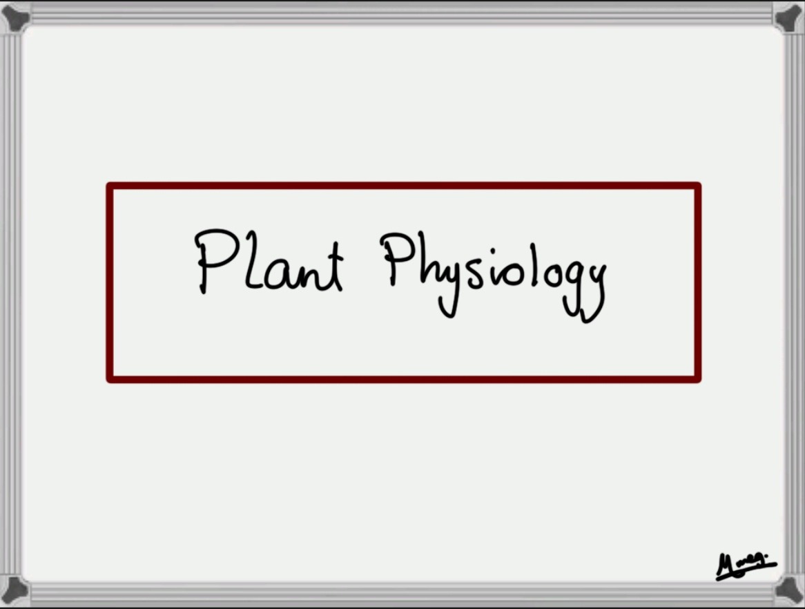 Chapter 4: Plant Physiology