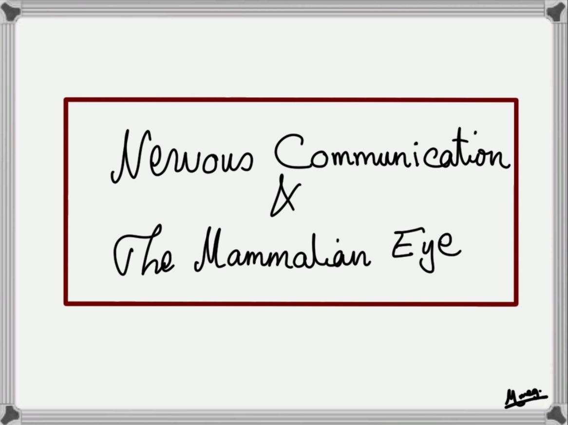 Nervous Communication & the Eye