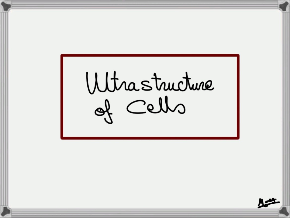 Chapter 1: Ultrastructure of Cells