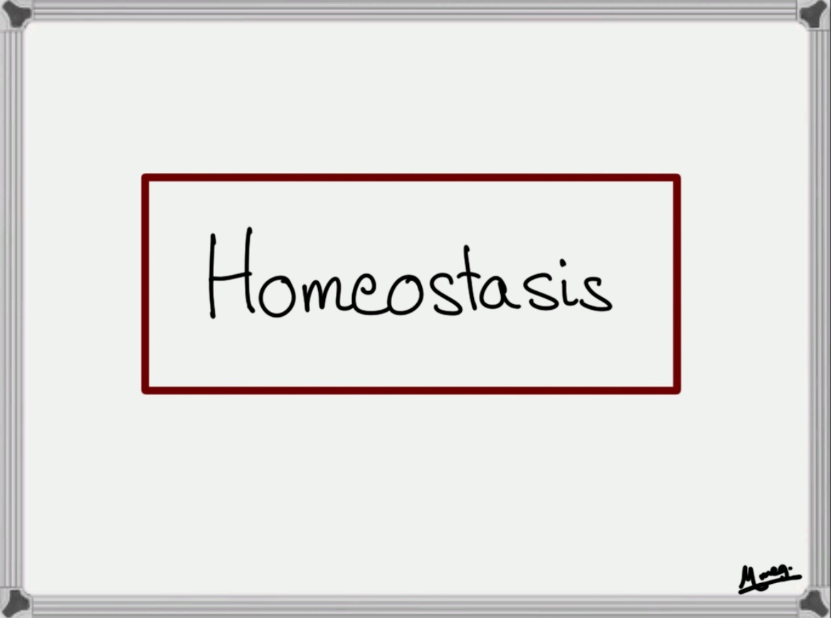 Homeostasis