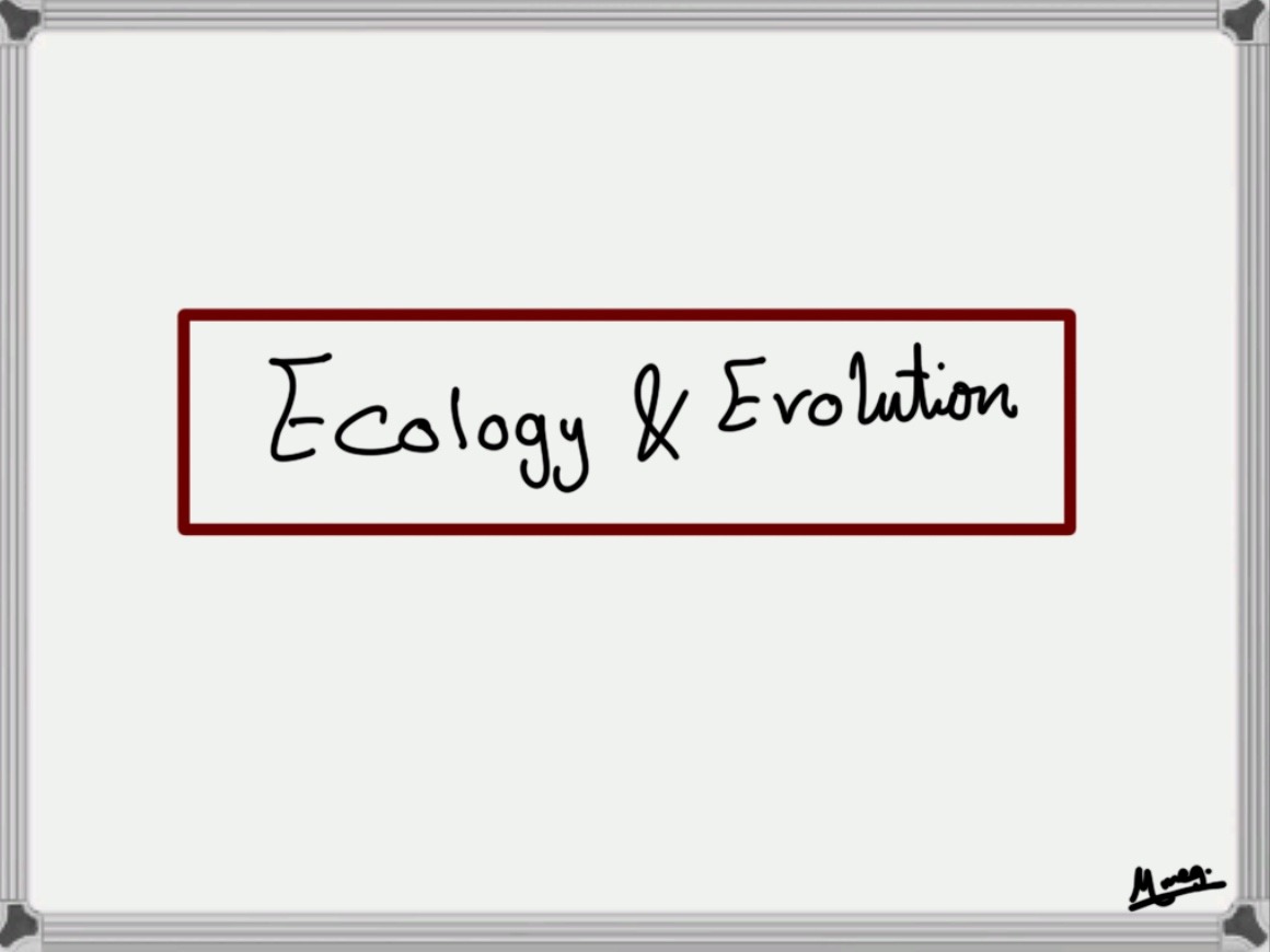 Chapter 7: Ecology & Evolution