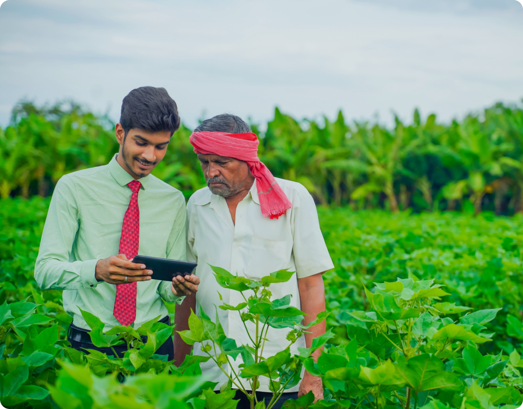 Rural Franchise Opportunities