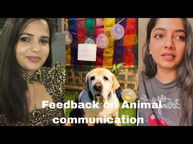 Communication with Oagy