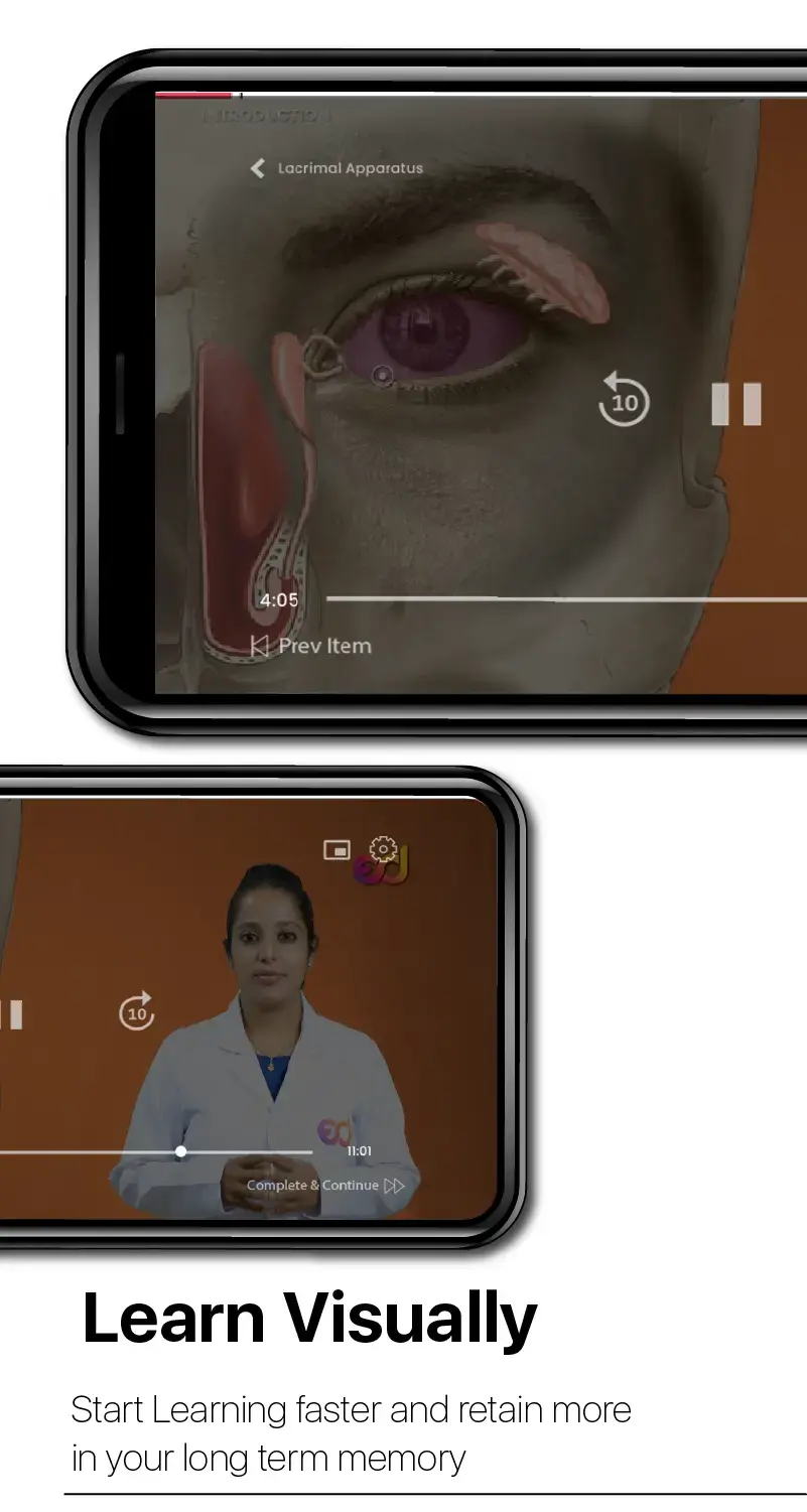 Visually Animated Video Classes