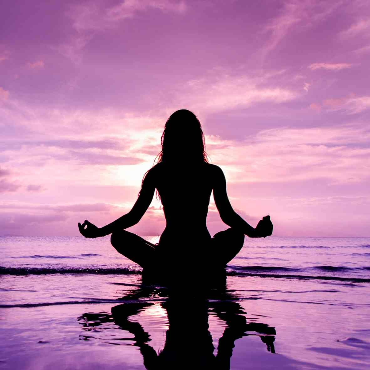 Meditation Courses