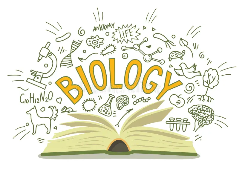 math-science-concept-tiny-male-female-students-characters-lab-school-class-learning-mathematics-huge-blackboard-people-gaining-education-writing-formula-cartoon_1016-3407.avif