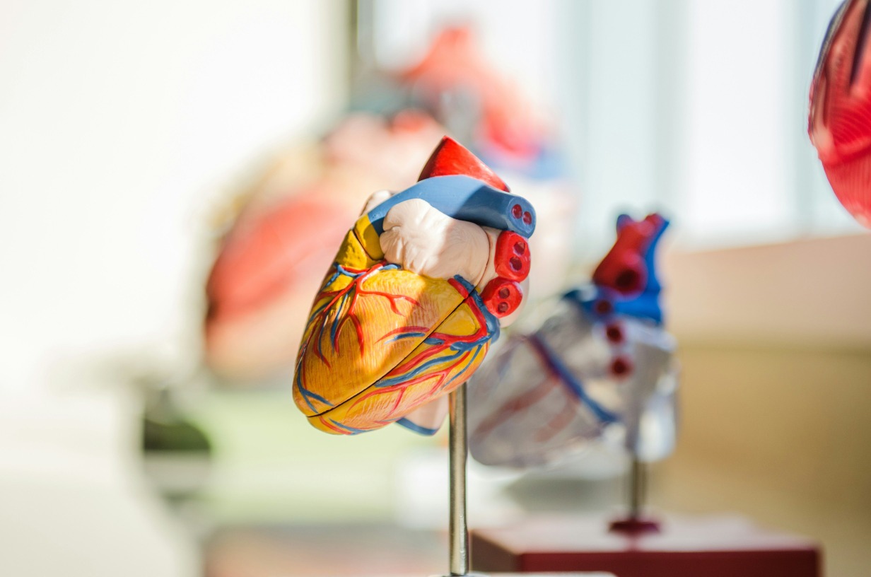 Fellowship in Clinical Cardiology