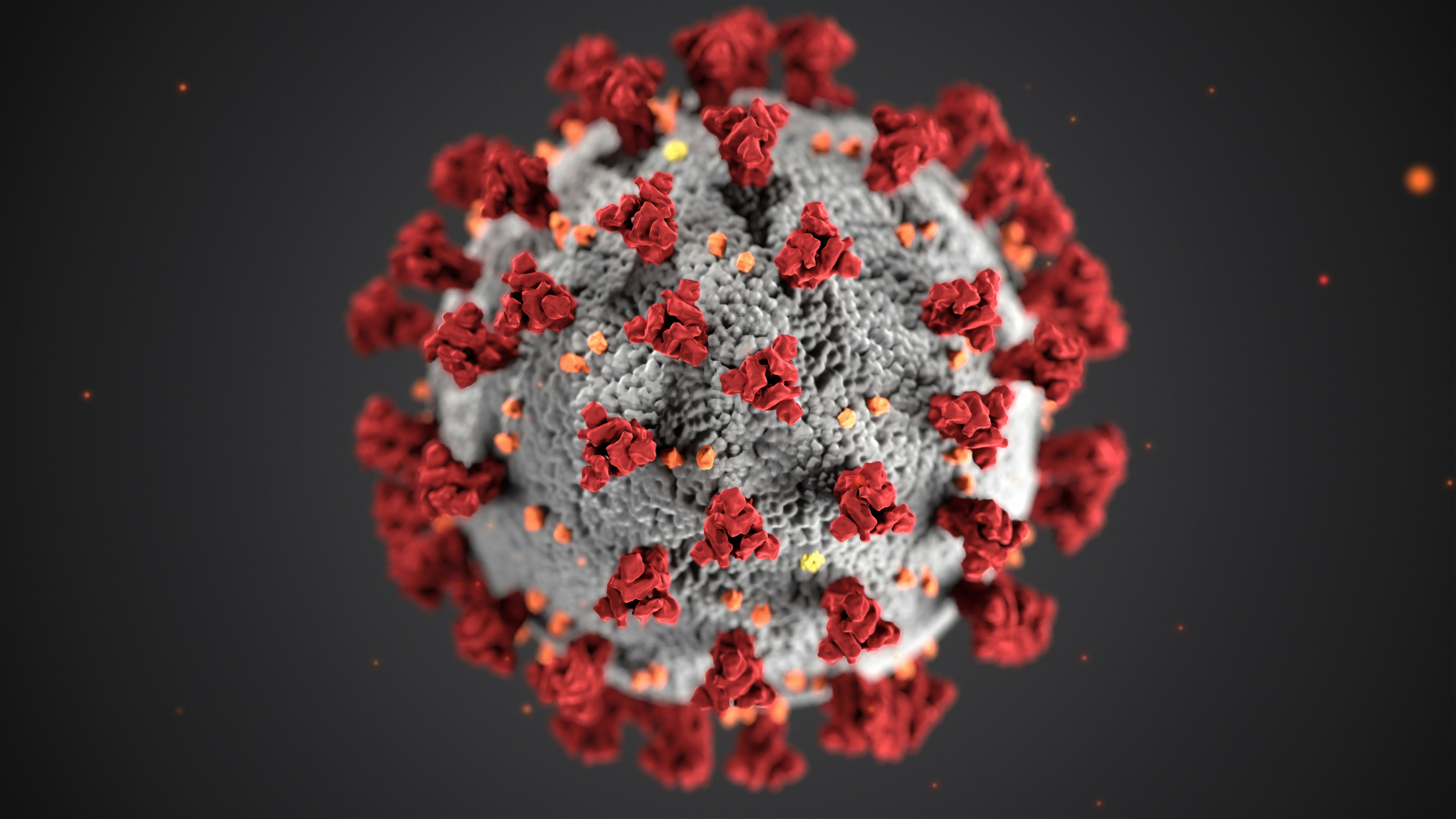 Healthcare professional reviewing infectious disease learning material