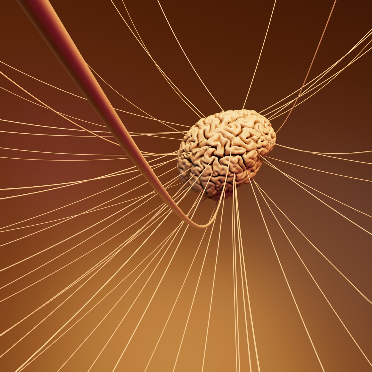 Doctor reviewing neurological patient case