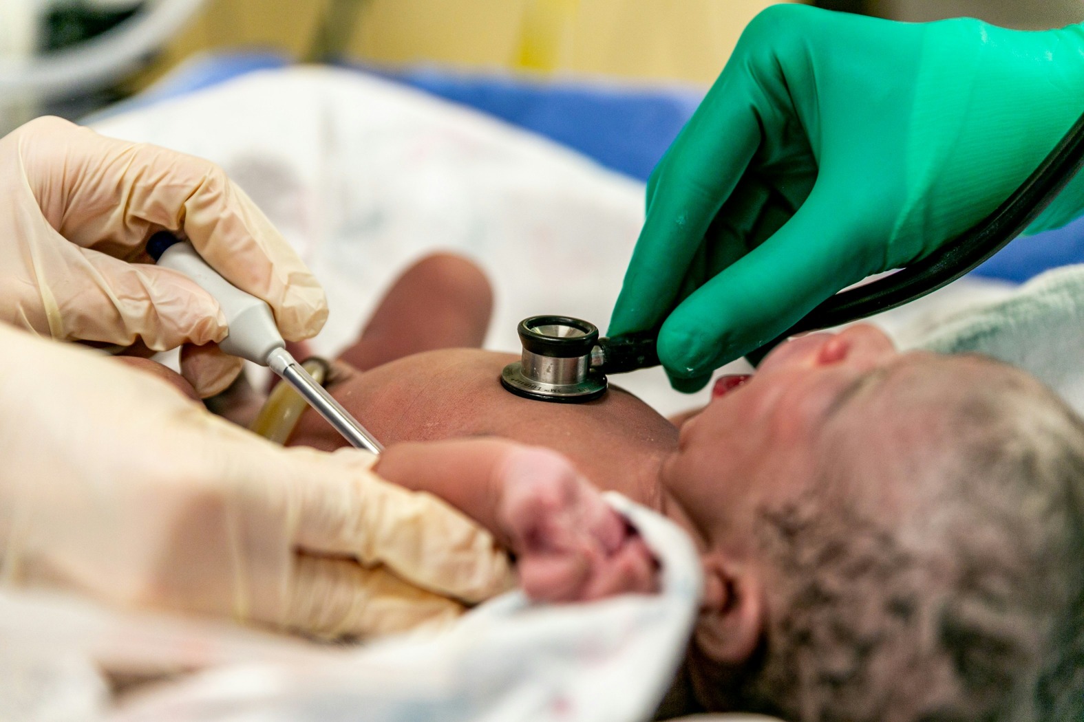 Doctor reviewing obstetric and gynecologic case notes