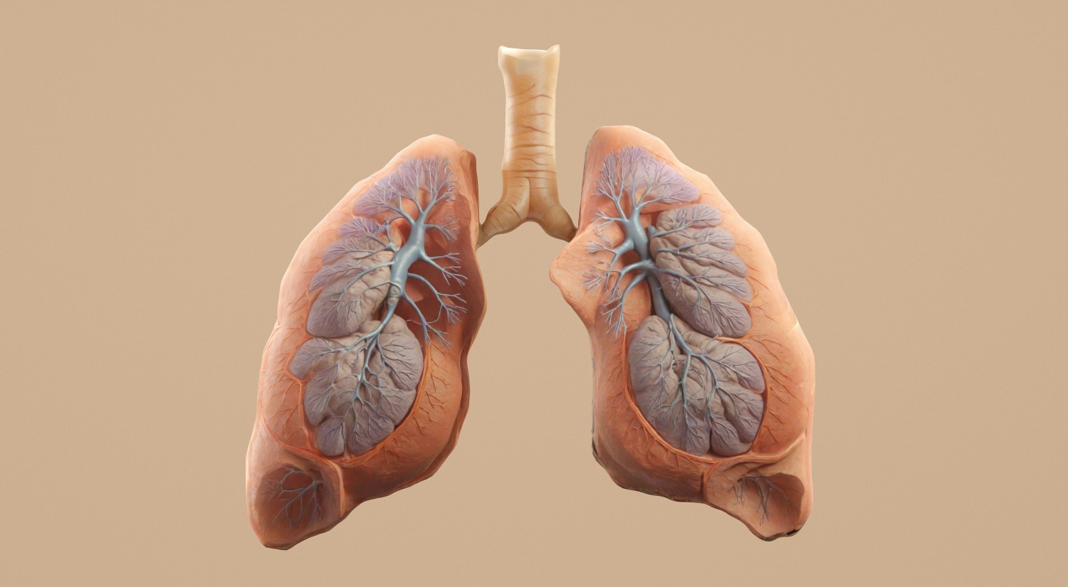 Doctor reviewing a comprehensive internal medicine case