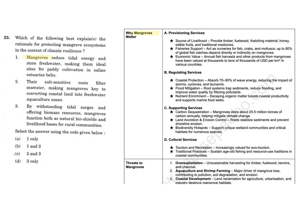 Prelims Slide 20
