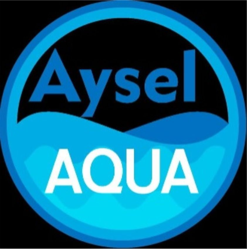 Self Implementers Client3