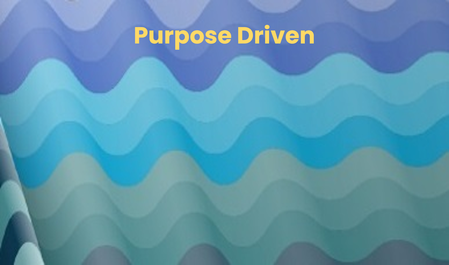 Purpose Driven