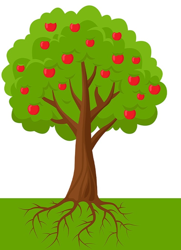 Semester 6 icon