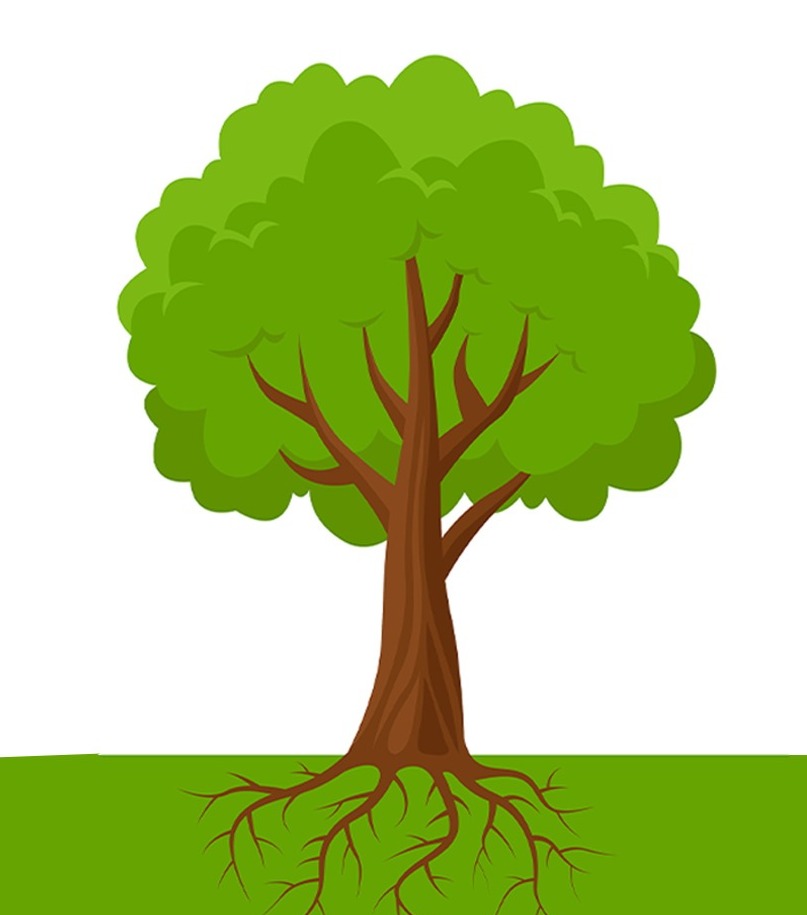 Semester 4 icon
