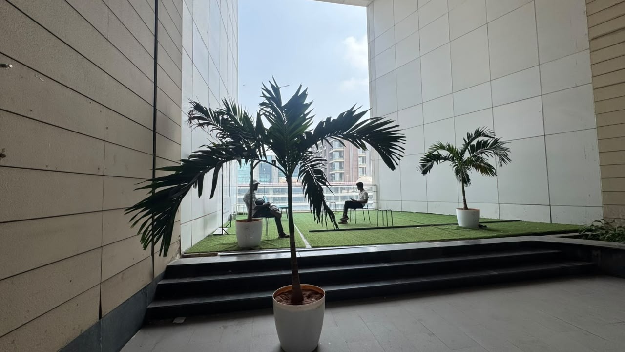 Cultural Area