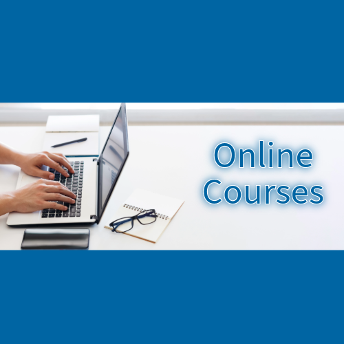 Sultan Academy's Self-Paced Courses