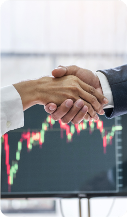 Professional Handshake